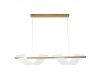 Подвесной светильник Arte Lamp Fiorita A2093SP-2GO