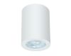 Накладной светильники Arte Lamp Tino A1468PL-1WH