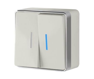Выключатель двухклавишный с подсветкой Werkel Gallant слоновая кость W5020103 4690389164187