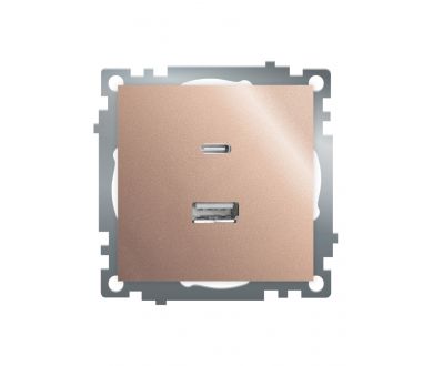 Розетка 2-местная USB + type C Stekker Катрин GLS10-7116-02 50056