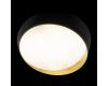 Потолочный светильник Loft IT Coin 10199 Black
