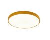 Потолочный светильник Arte Lamp A2661PL-1YL