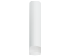 Накладной светильник Lightstar Rullo R49631 (214496+202431)