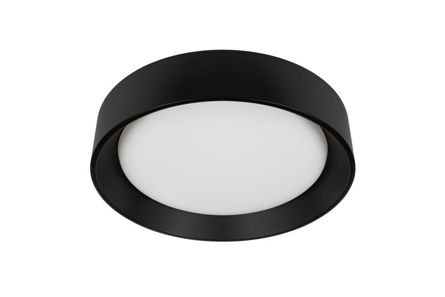 Потолочный светильник Loft IT Coin 10202 BB