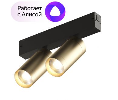 Трековый светильник Denkirs Smart DK8012-BG