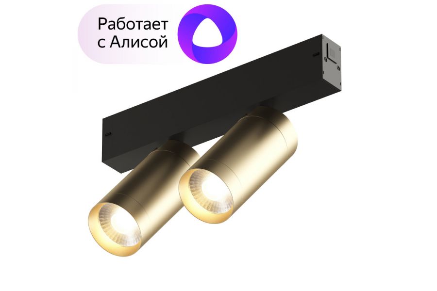 Трековый светильник Denkirs Smart DK8012-BG