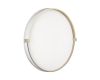 Настенно-потолочный светильник Sonex Pale Olidi White 7646/DLN