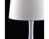 Настольная лампа MW-Light Салон 415033701