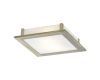 Потолочный светильник Arte Lamp Spruzzi A6064PL-2AB