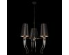 Подвесная люстра Loft IT Brunilde 10207/6 Black