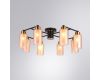 Потолочная люстра Arte Lamp Leo A7027PL-8BK