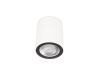 Накладной светильник Loft IT Rush 10344 White