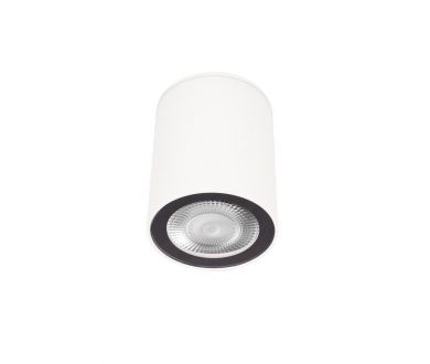 Накладной светильник Loft IT Rush 10344 White