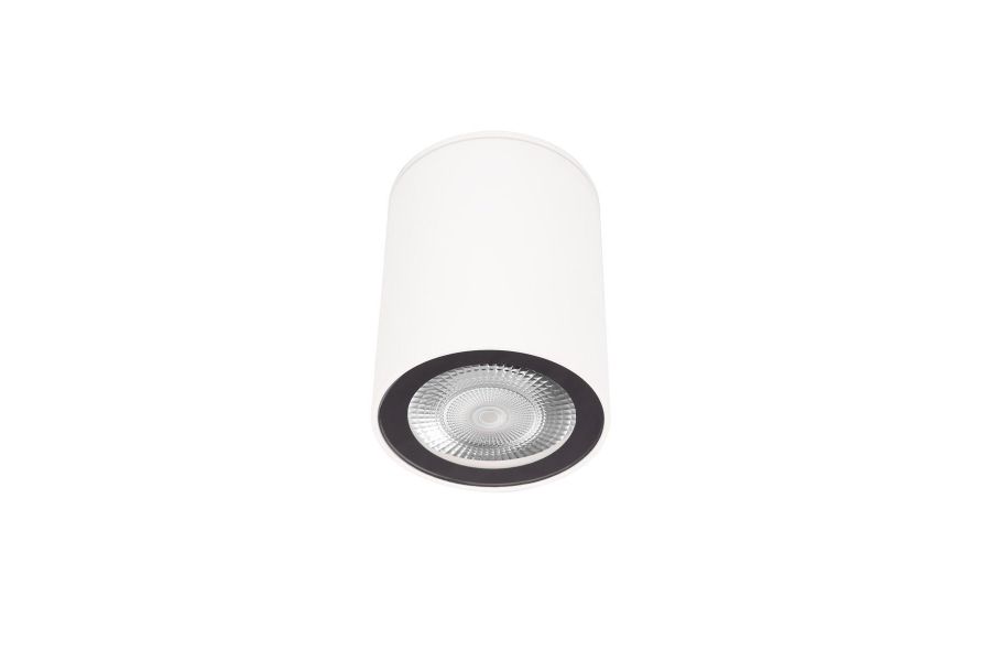 Накладной светильник Loft IT Rush 10344 White