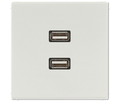 Купить Розетка USB Jung MALS1153LG Розетка USB Jung MALS1153LG