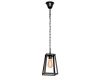 Подвесной светильник LOFT IT Modern filament Loft1127