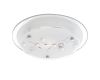 Потолочный светильник Arte Lamp A4890PL-2CC