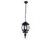 Уличный подвесной светильник Arte Lamp Atlanta A1045SO-1BG
