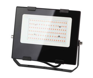 Фитопрожектор для растений ЭРА FITO-50W-RB-LED Б0046368
