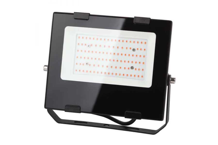 Фитопрожектор для растений ЭРА FITO-50W-RB-LED Б0046368