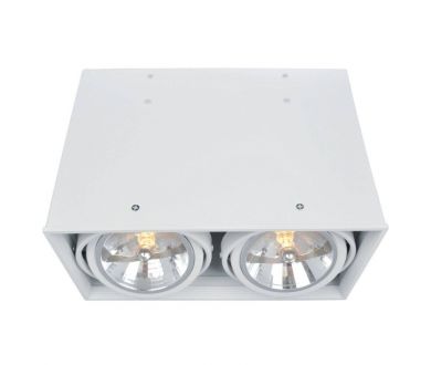Потолочный светильник Arte Lamp Cardani A5936PL-2WH