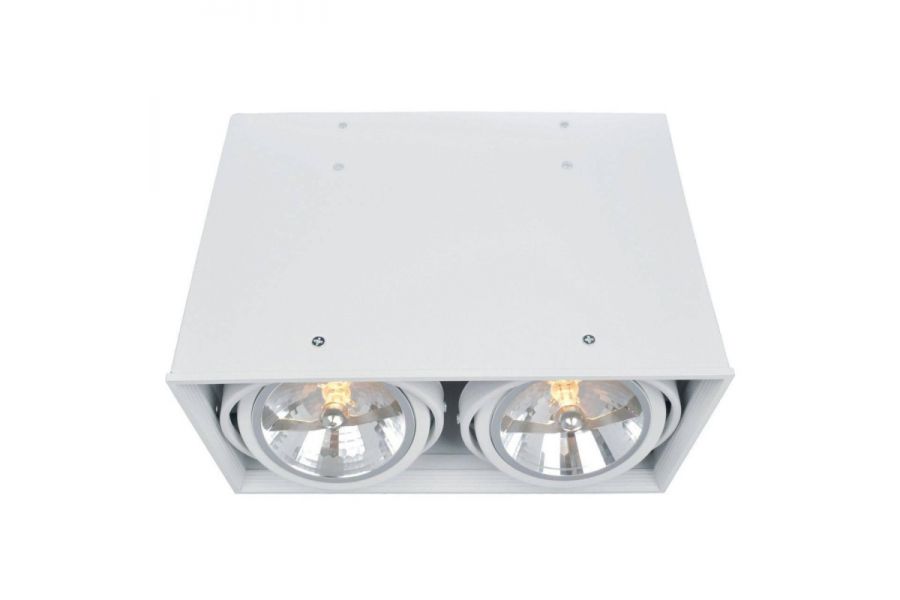 Потолочный светильник Arte Lamp Cardani A5936PL-2WH