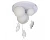 Потолочный светильник Loft IT Teddy 10030