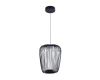 Подвесной светильник Arte Lamp Flare A3528SP-12BK