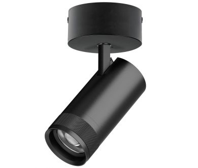 Накладной светильник 20-55G с адаптером Lightstar Canno Pro C4307SO