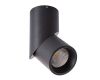 Накладной светильник ARTE Lamp A7717PL-1BK