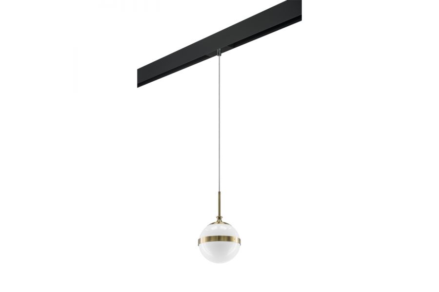 Трековый светильник Lightstar Globo PRO813111 (813111+595007)