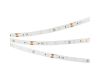 Светодиодная лента Arlight NT-A60-8mm 12V Day4000(4.8 W/m, IP20, 3528, 5m) 036156