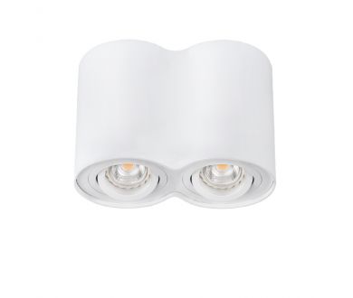 Накладной светильник Kanlux Bord DLP-250-W 22554