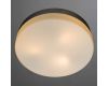Потолочный светильник Arte Lamp Shirp A3211PL-3SI