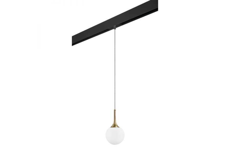 Трековый светильник Lightstar Globo PRO813013 (813013+595007)