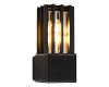 Уличный настенный светильник ST Luce Irum SL9018.401.01