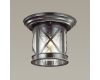 Уличный светильник Odeon Light Sation 4045/1C
