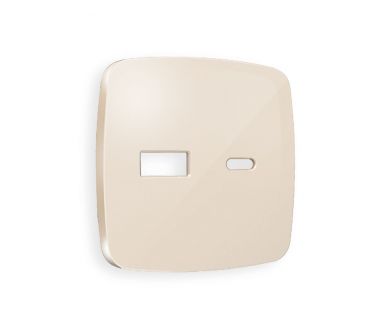 Лицевая панель для розетки 2USB тип A+C Ambrella Volt Omega OP3110