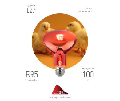 Инфракрасная лампа для обогрева животных и освещения Эра ИКЗК 230-100 R95 E27 Б0062411