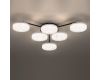 Потолочная люстра Lumion Didana 8236/6CL