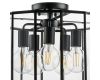 Потолочная люстра Lightstar Genni 798257