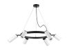 Подвесная люстра Lightstar Rullo (571016+214436-3+214486-3+202430-6) LR0163638630