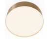 Потолочный светильник Maytoni Technical Ceiling Zon C032CL-24W4K-RD-MG