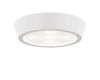 Потолочный светодиодный светильник Lightstar Urbano 214902