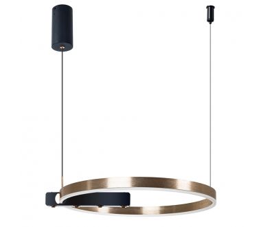 Подвесная люстра Arte Lamp Veritate A2221SP-1BR