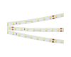 Светодиодная лента Arlight RT-A80-8mm 24V Warm2700 (6 W/m, IP20, 2835, 50m) 024526(2)