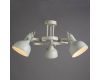 Потолочная люстра Arte Lamp Martin A5216PL-3WG