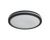 Потолочный светильник Freya Rua FR6160CL-L40B