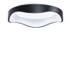 Потолочный светильник Arte Lamp Ankaa A3085PL-48BK