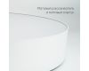 Потолочный светильник Feron AL6200 48070